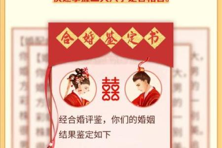 解析八字命运与幸运数字，合婚时要看哪些关键因素？