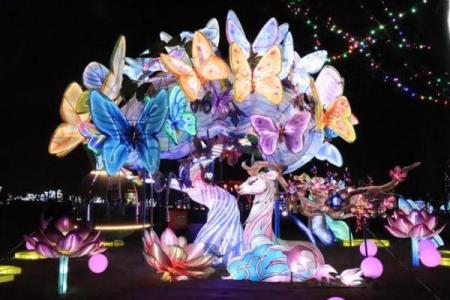 高山族灯会：点亮夜空的星辰与传统