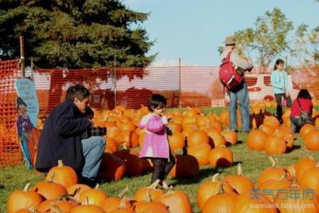 感恩节：从农耕文化到现代家庭团聚的深刻意义