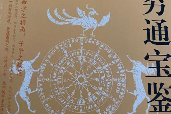 从孙正义的命运密码看成功之道:命理的真实影响与改变之法 从孙正义的命运密码看成功之道:命理的真实影响与改变之法