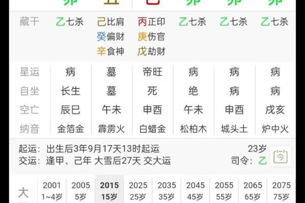 八字命理颠覆你的认知:命运密码如何改变你的一生 八字命理颠覆你的认知:命运密码如何改变你的一生