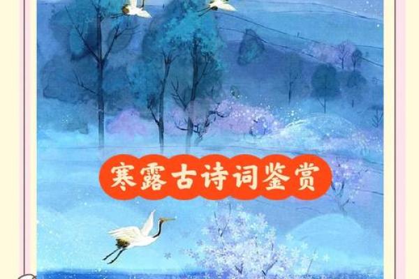 的文化故事，揭秘古人如何迎接寒露