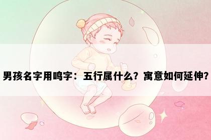 男孩名字用鸣字：五行属什么？寓意如何延伸？