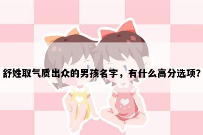 舒姓取气质出众的男孩名字，有什么高分选项？