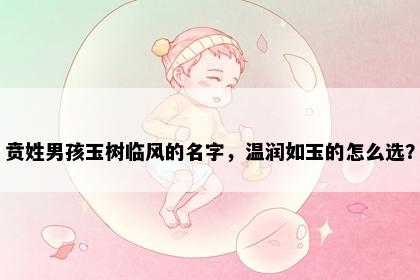 贲姓男孩玉树临风的名字，温润如玉的怎么选？