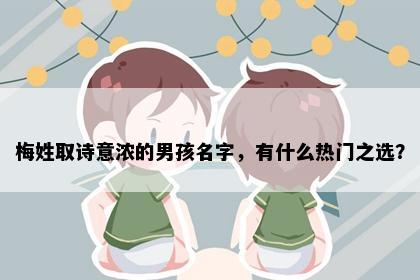 梅姓取诗意浓的男孩名字，有什么热门之选？