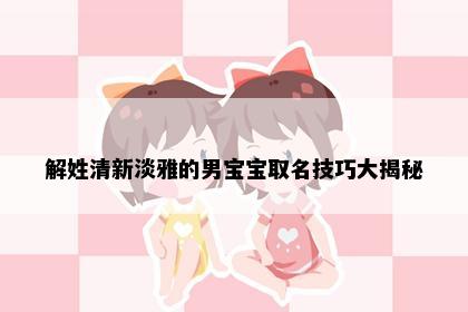 解姓清新淡雅的男宝宝取名技巧大揭秘
