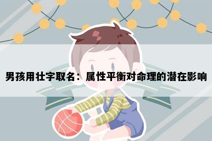 男孩用壮字取名：属性平衡对命理的潜在影响