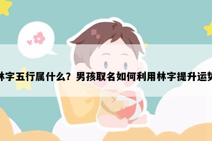 林字五行属什么？男孩取名如何利用林字提升运势