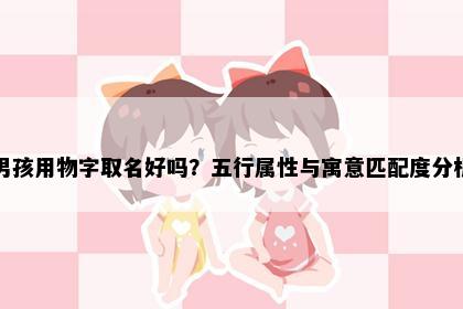 男孩用物字取名好吗？五行属性与寓意匹配度分析