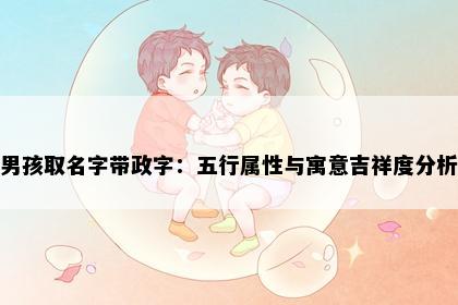 男孩取名字带政字：五行属性与寓意吉祥度分析