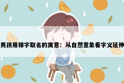 男孩用禄字取名的寓意：从自然意象看字义延伸