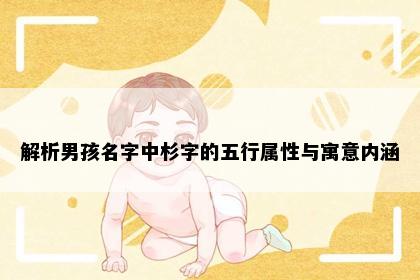 解析男孩名字中杉字的五行属性与寓意内涵