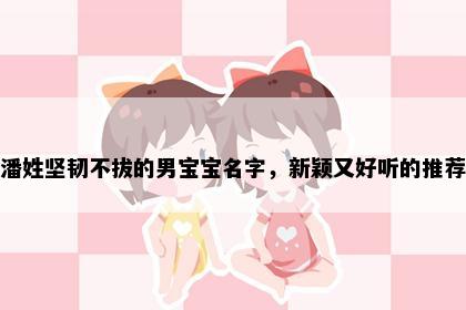 潘姓坚韧不拔的男宝宝名字，新颖又好听的推荐