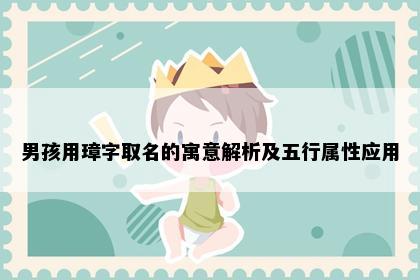 男孩用璋字取名的寓意解析及五行属性应用