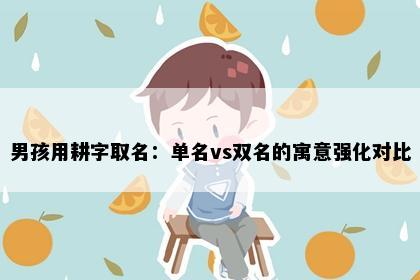 男孩用耕字取名：单名vs双名的寓意强化对比