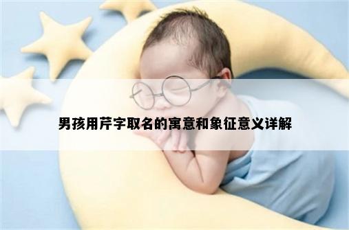 男孩用芹字取名的寓意和象征意义详解