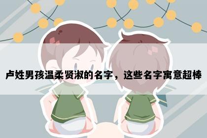 卢姓男孩温柔贤淑的名字，这些名字寓意超棒