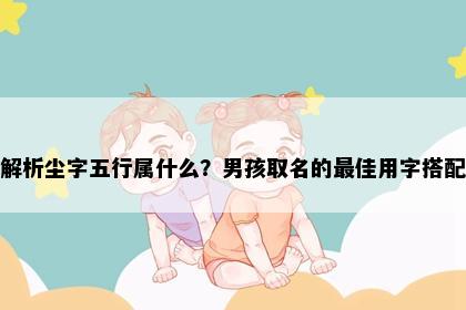 解析尘字五行属什么？男孩取名的最佳用字搭配