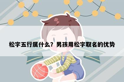 松字五行属什么？男孩用松字取名的优势