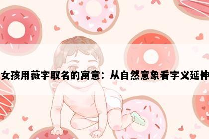 女孩用薇字取名的寓意：从自然意象看字义延伸