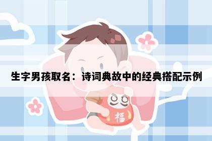 生字男孩取名：诗词典故中的经典搭配示例