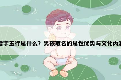 君字五行属什么？男孩取名的属性优势与文化内涵