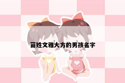 苗姓文雅大方的男孩名字