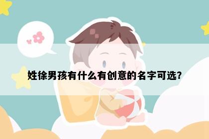 姓徐男孩有什么有创意的名字可选？