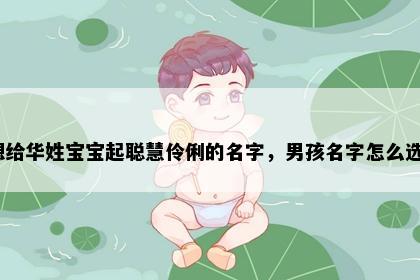 想给华姓宝宝起聪慧伶俐的名字，男孩名字怎么选？