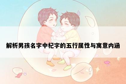 解析男孩名字中杞字的五行属性与寓意内涵