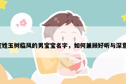 宣姓玉树临风的男宝宝名字，如何兼顾好听与深意？