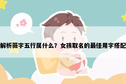 解析薇字五行属什么？女孩取名的最佳用字搭配