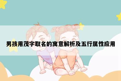 男孩用茂字取名的寓意解析及五行属性应用