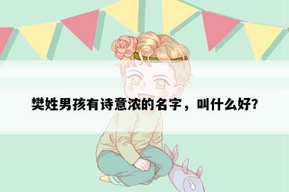 樊姓男孩有诗意浓的名字，叫什么好？